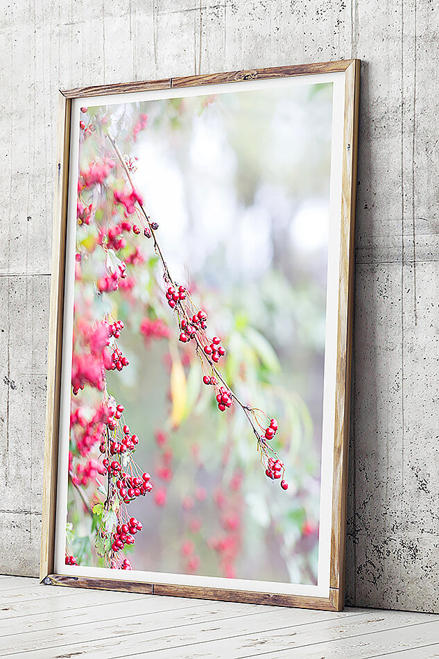 red interior wall art red photographic print natural interior new zealand plant natural interior art