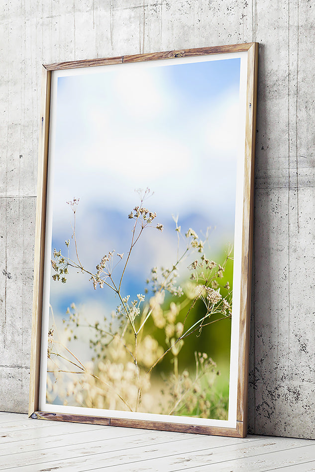 beach print coastal print natural print print for natural interior grass wall art natural tones print for wall new zealand photography