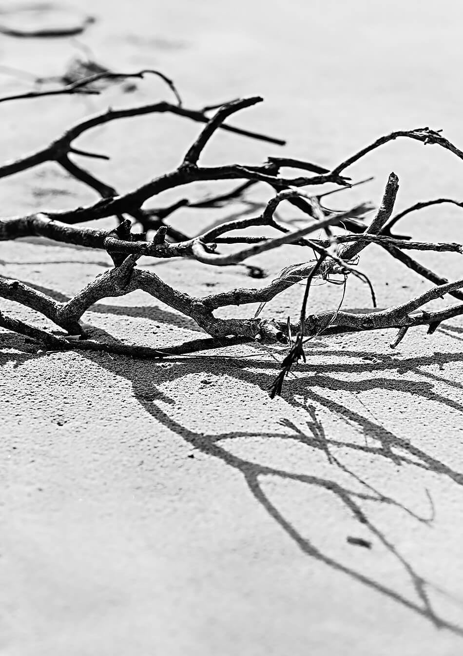 black and white art coastal interior coastal home byron bay photography beach photography black and white art