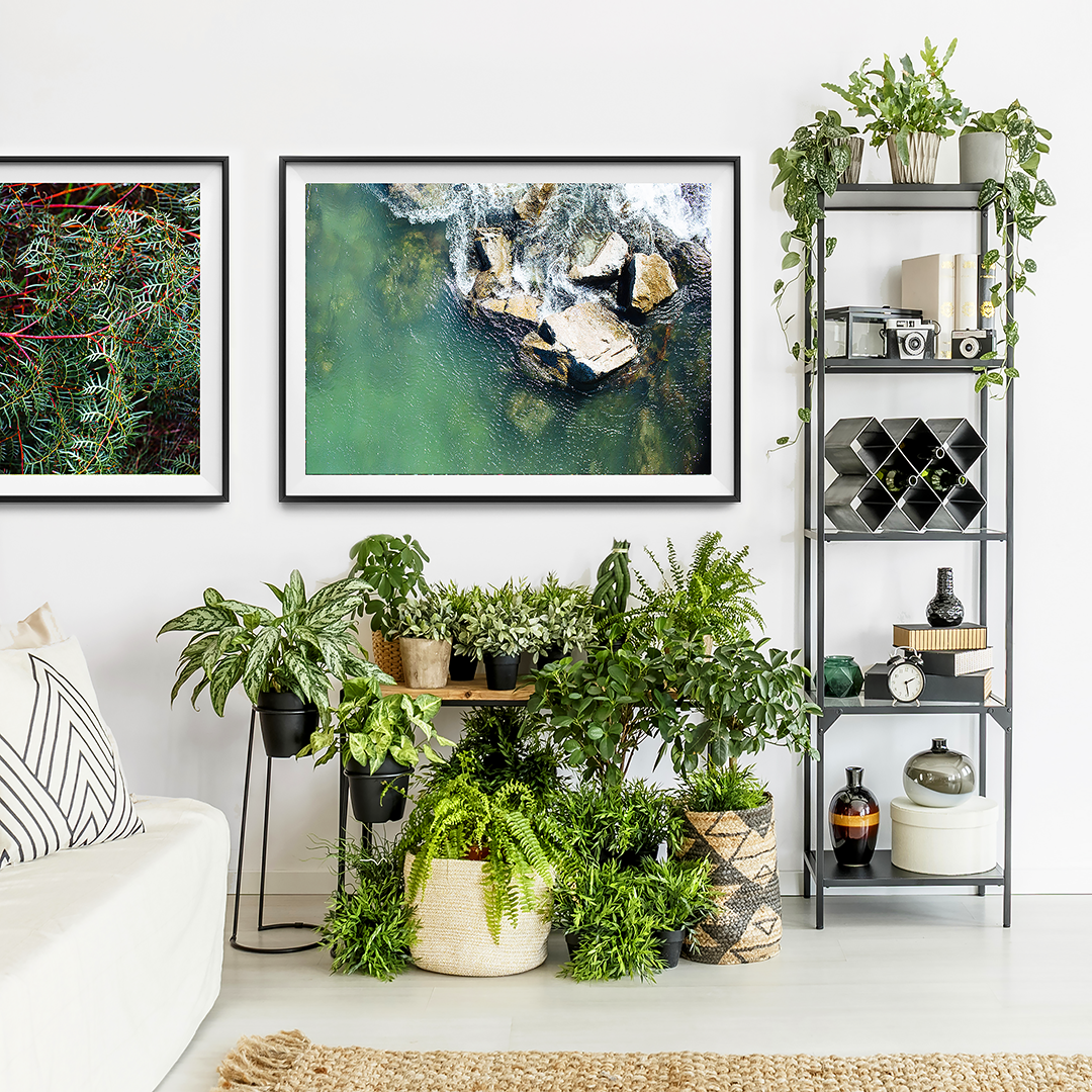 Botanicals Print / Nature Print / Plant Print / Beach Print / New Zealand