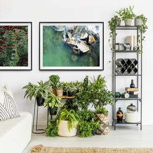Botanicals Print / Nature Print / Plant Print / Beach Print / New Zealand