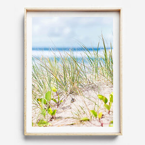 Beach Photography / Wall Art / Bach Print / Byron Bay