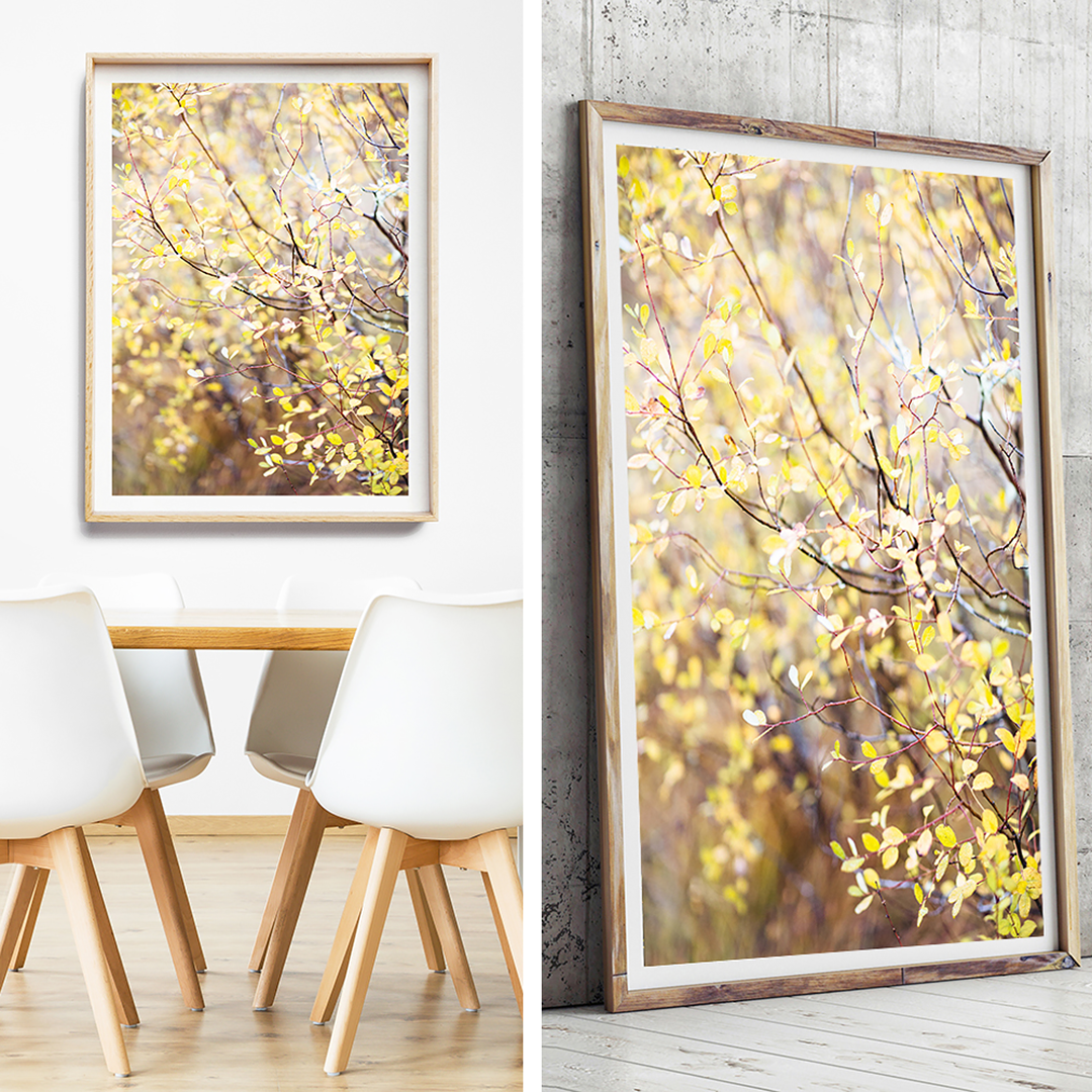Beach Print / Coastal Interior / New Zealand Print / Autumn Print