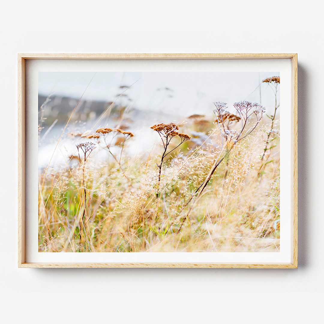 Beach Print / Coastal Print / Coastal home / New Zealand Photographic Print