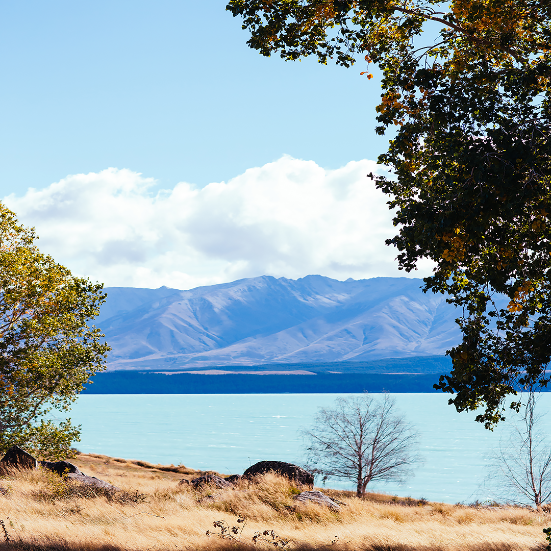 New Zealand Photography / NZ Print