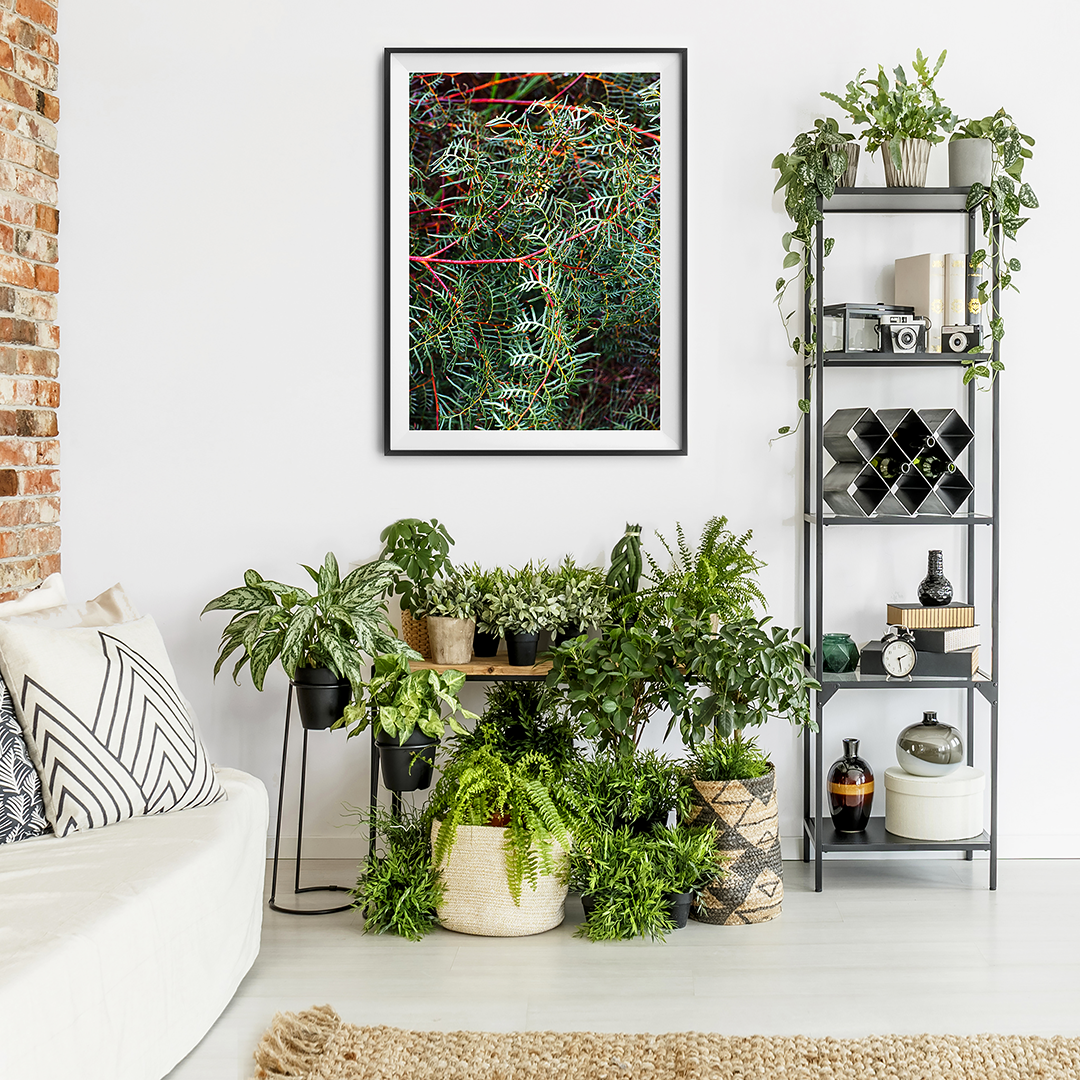 New Zealand Photography / Greenery Print / Coastal Print