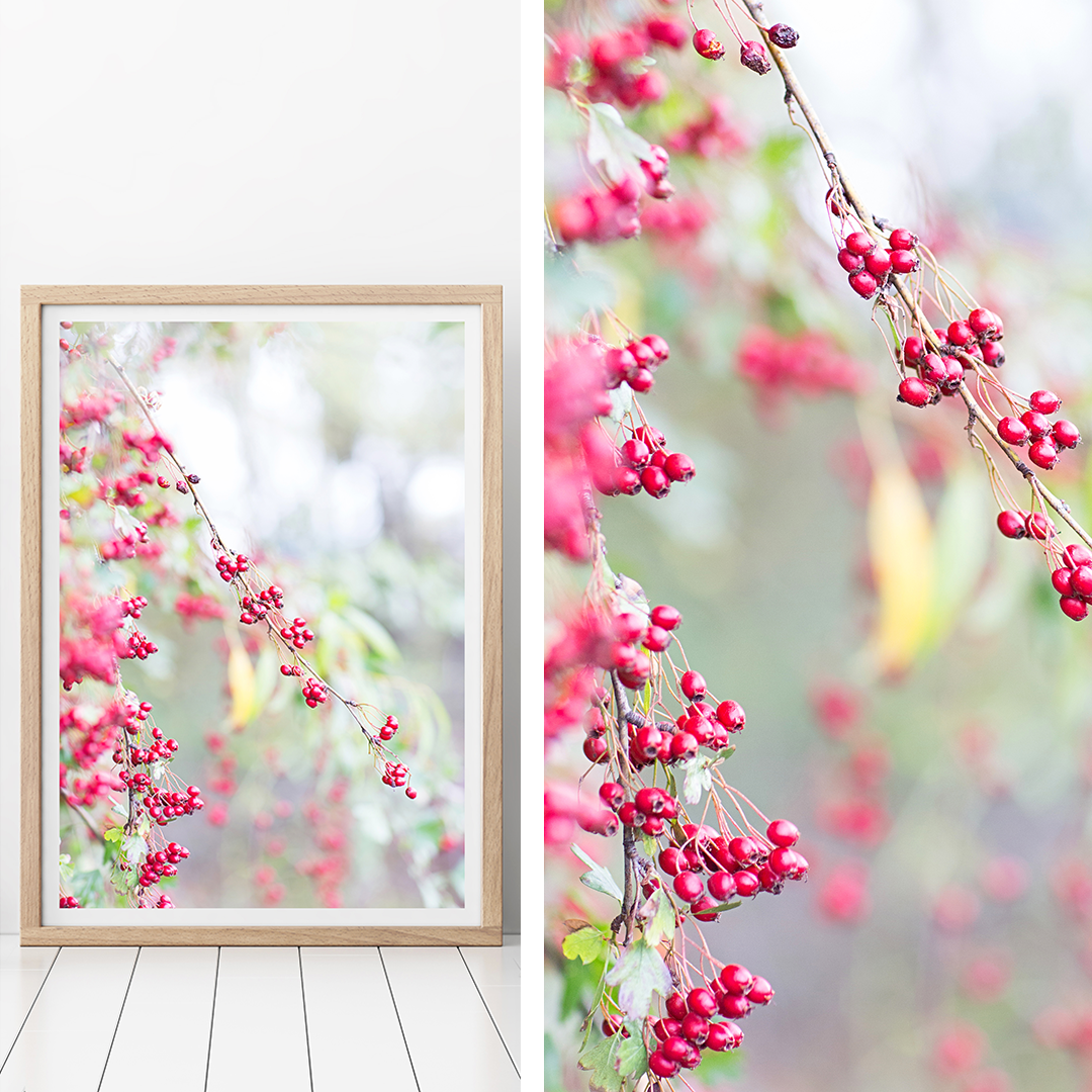 New Zealand Print / Botanicals Print / Nature Print