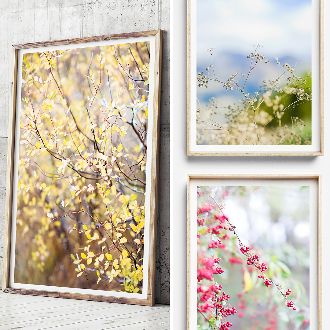 Botanicals Print / New Zealand Print / New Zealand Photography