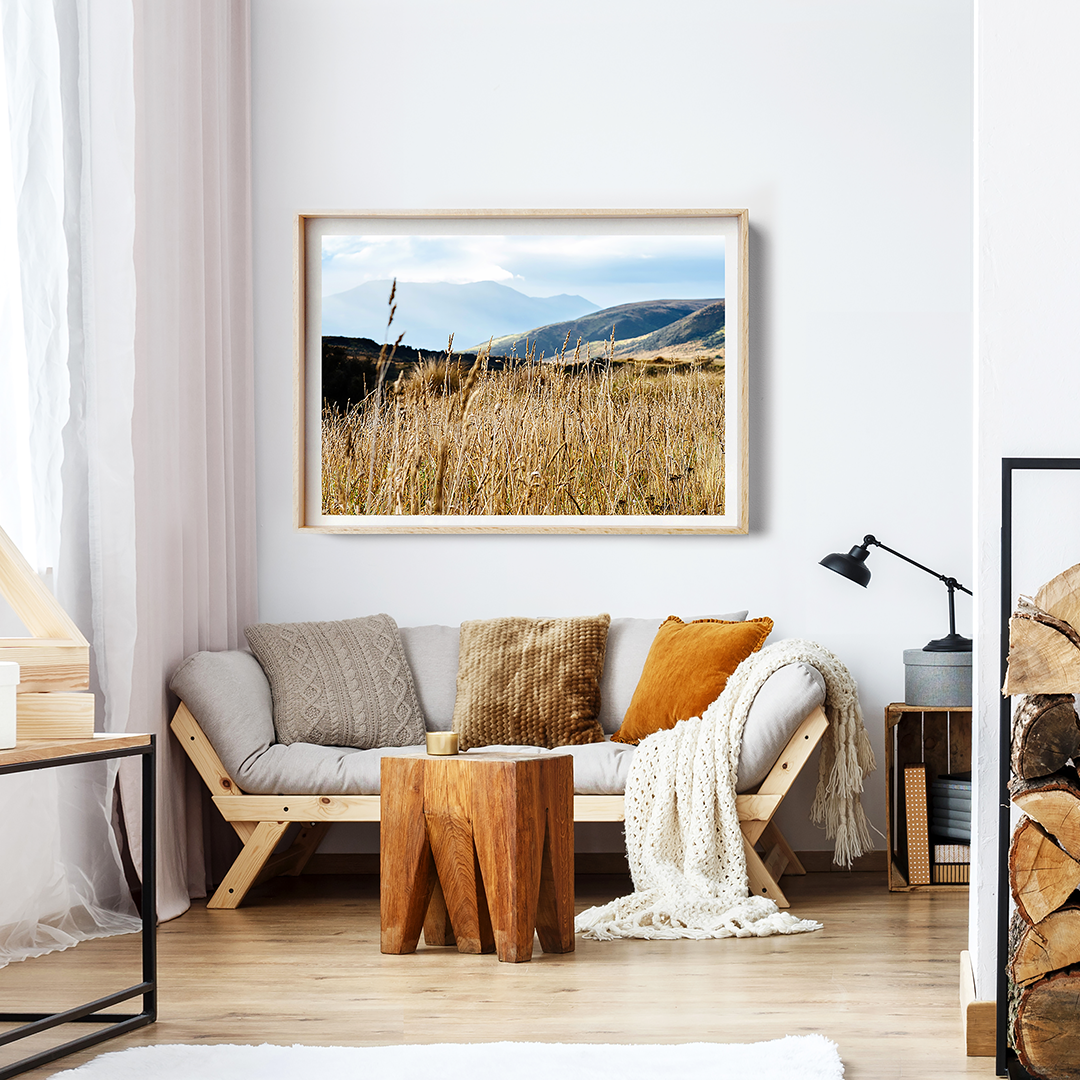 Coastal Print / New Zealand Print / New Zealand Photography