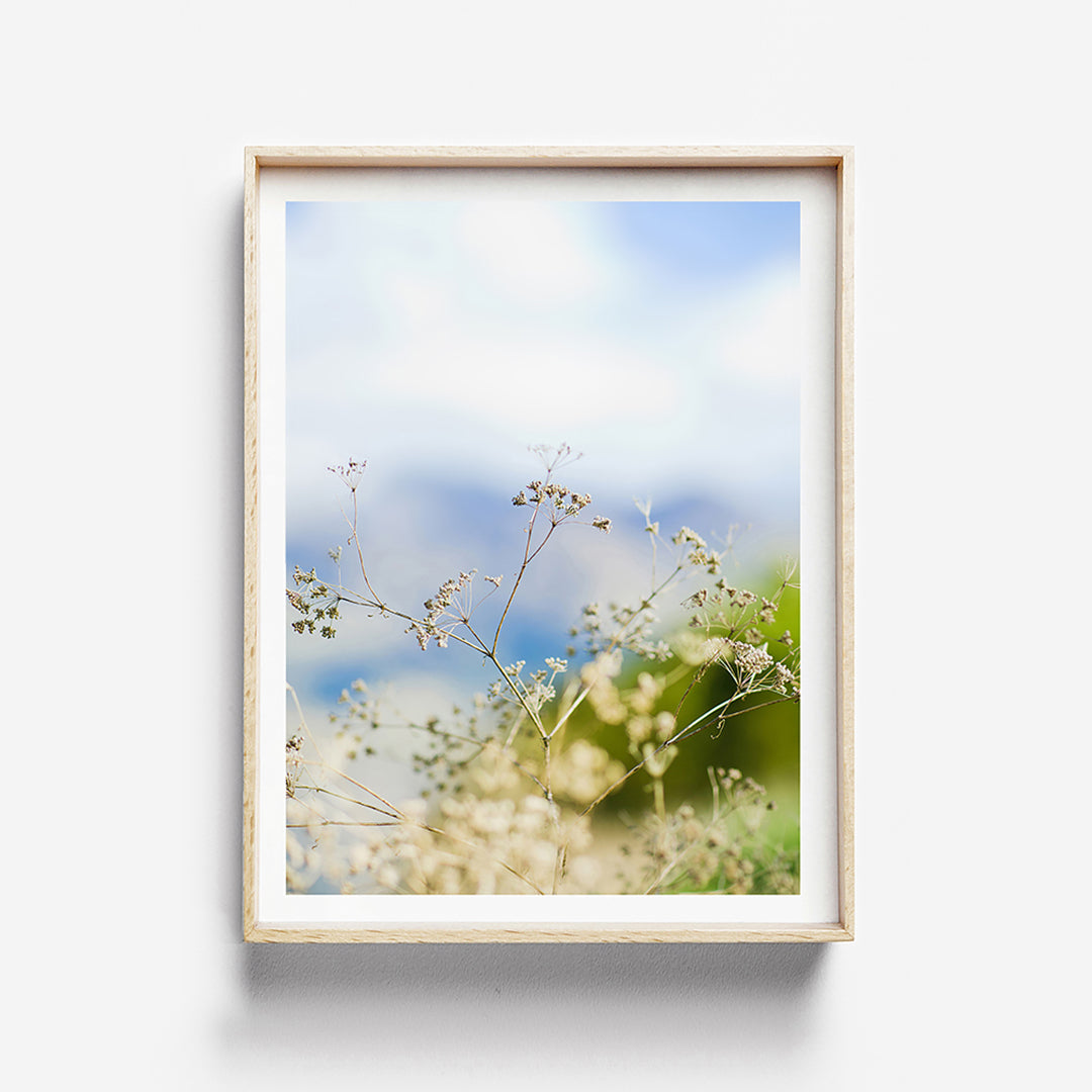 Spring Photo Print Spring Print / Floral Print / Beach Print – Clair Estelle
