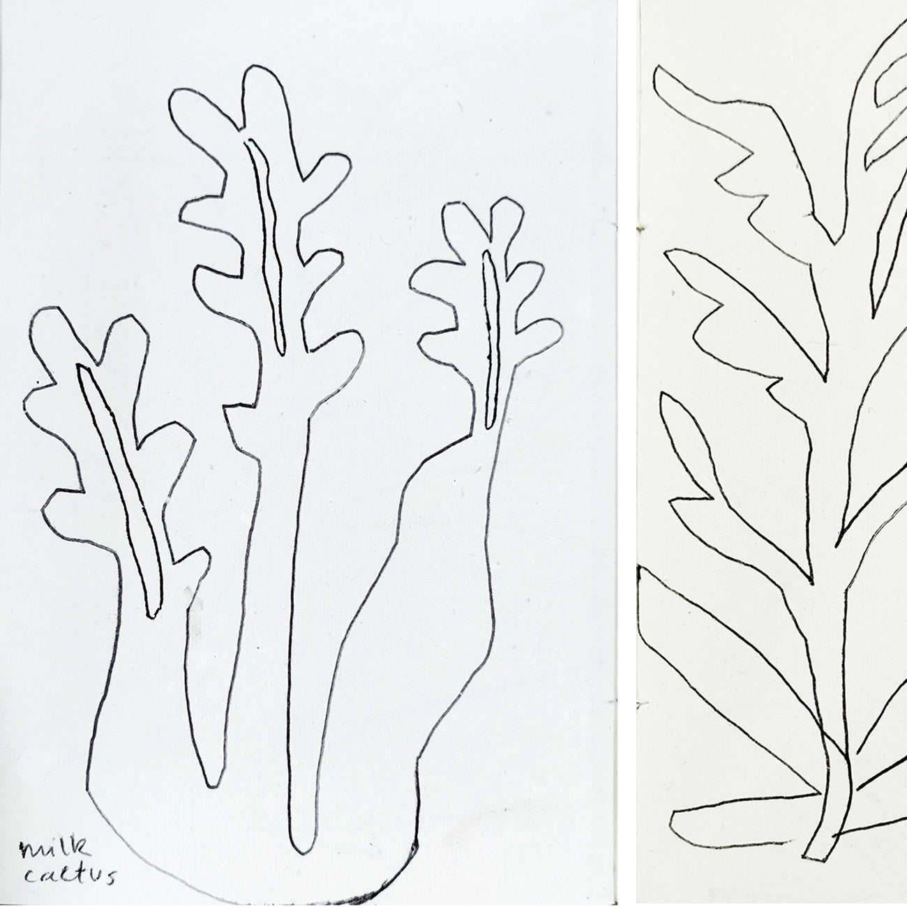 Drawing in the flow