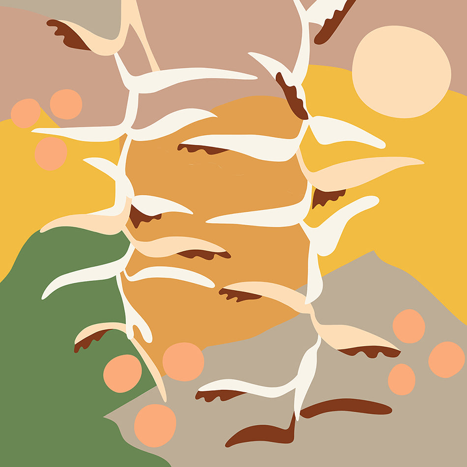 Practicing Gratitude / Brisbane Artist