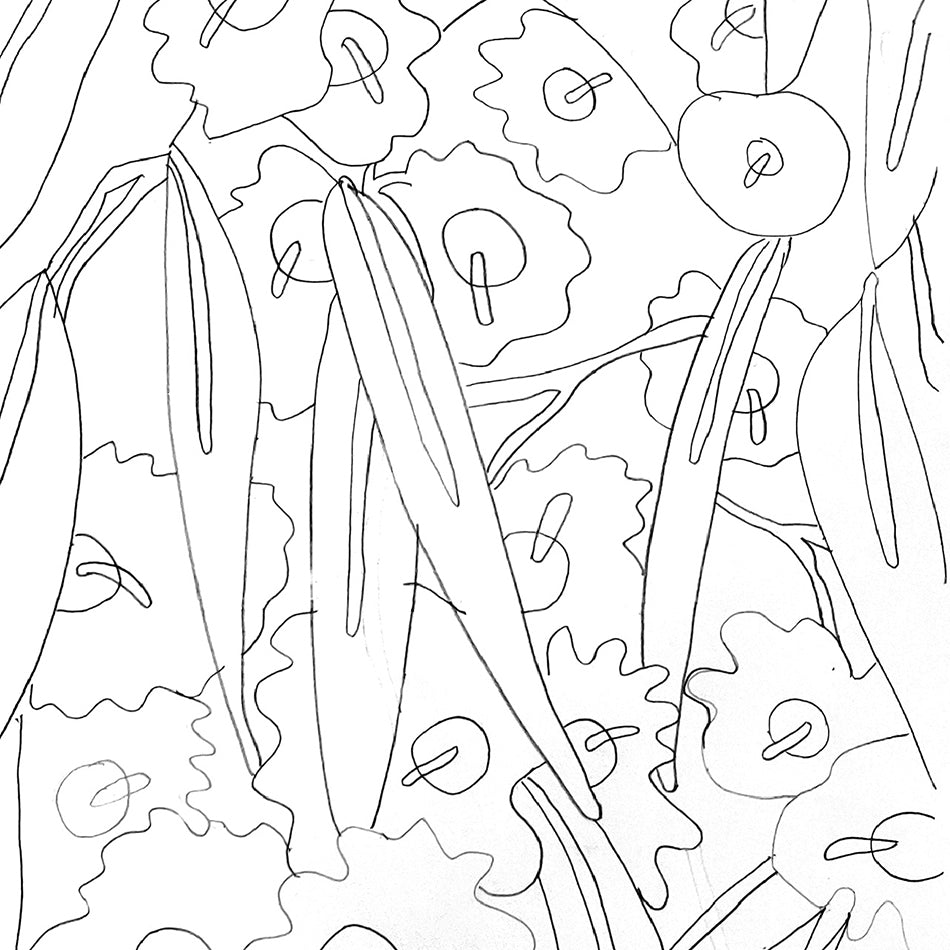 Drawing and Illustration artist - Brisbane