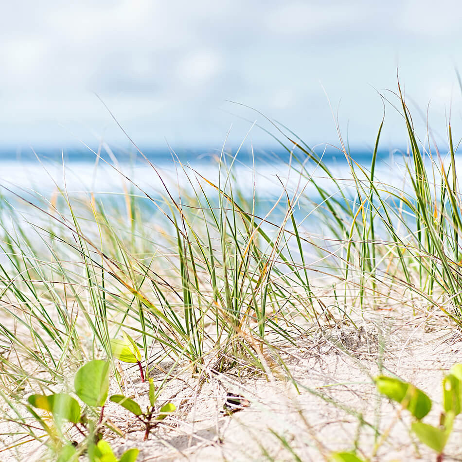 Beach Print / Byron Bay Photographic Print / Coastal Art