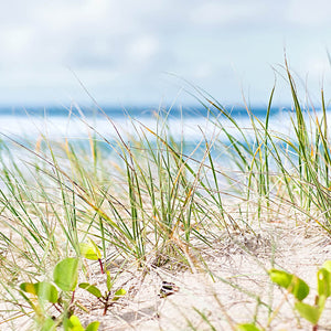 Beach Print / Byron Bay Photographic Print / Coastal Art