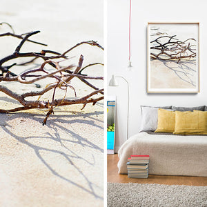 Beach Photography / Beach Print / Coastal Interior / Byron Bay