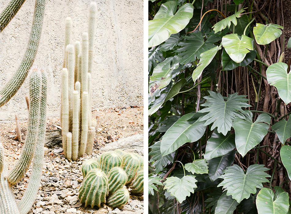 Inspiration for new series LUX BOTANICA launching soon...