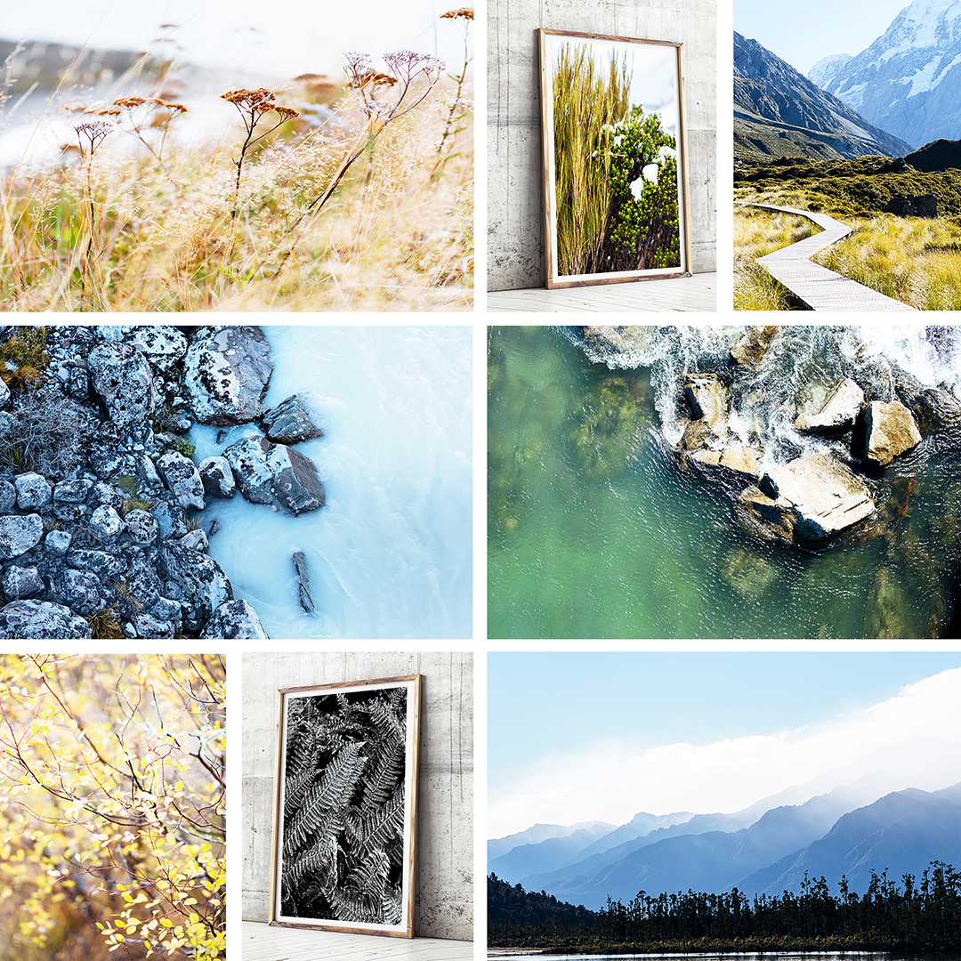 New Zealand Travel Photography, New Zealand Print, Nature Print, Coastal Home