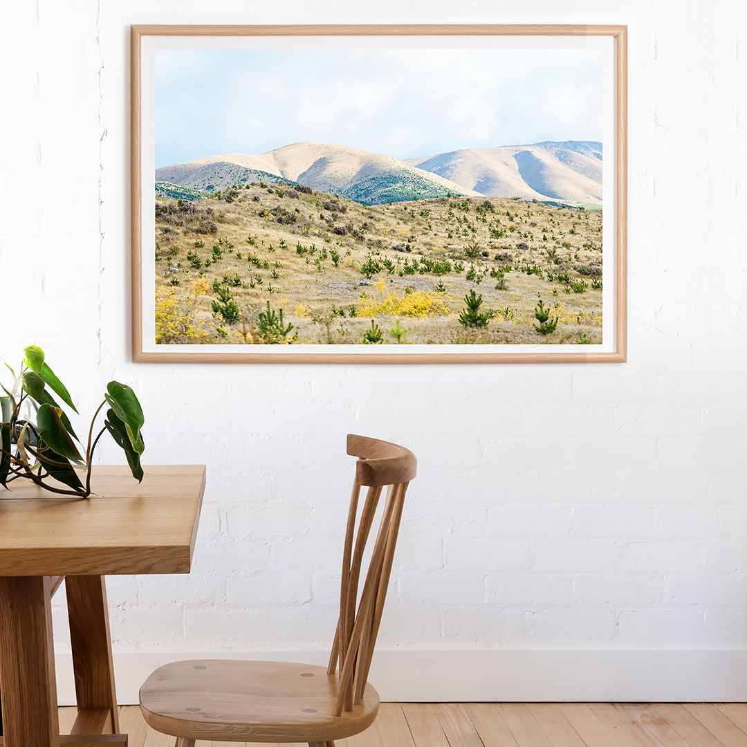 New Zealand Print / New Zealand Photography