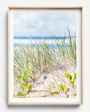 coastal interior sand dunes byron bay photography beach art beach print coastal print coastal home interior coastal print