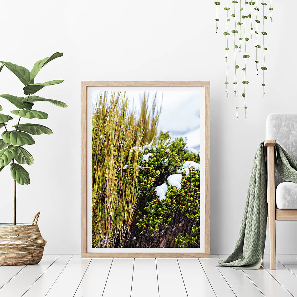 Spring Photo Print Hello Spring / Photo Print – Clair Estelle