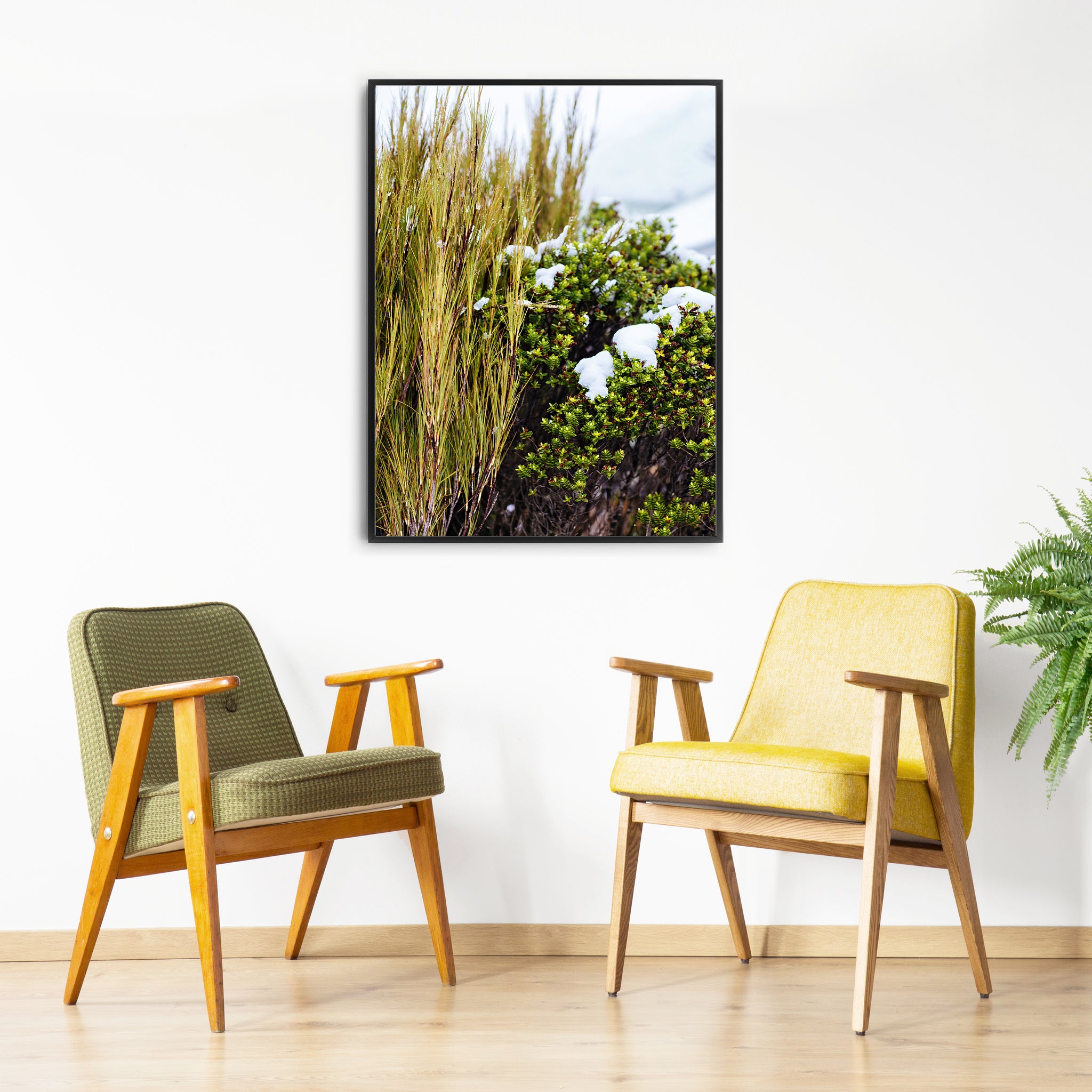 natural interior grass print coastal home photographic print new zealand photographic print of grass and nature for natural home interior