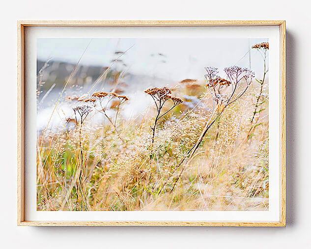 natural interior grass print of natural home interior beige interior styling beach grass print new zealand rustic interior print scandi interior print