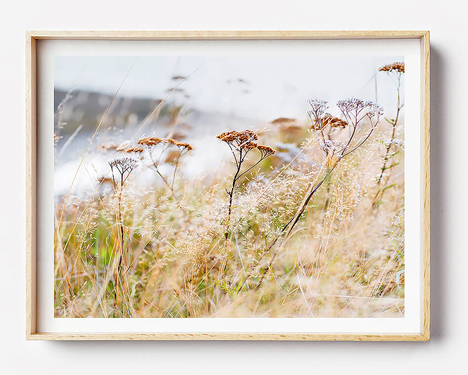 natural interior grass print of natural home interior beige interior styling beach grass print new zealand rustic interior print scandi interior print