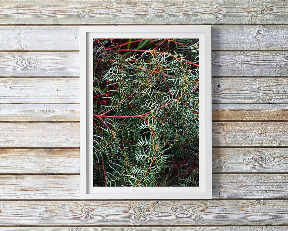 green interior wall art abstract leaves close up print of natural interior