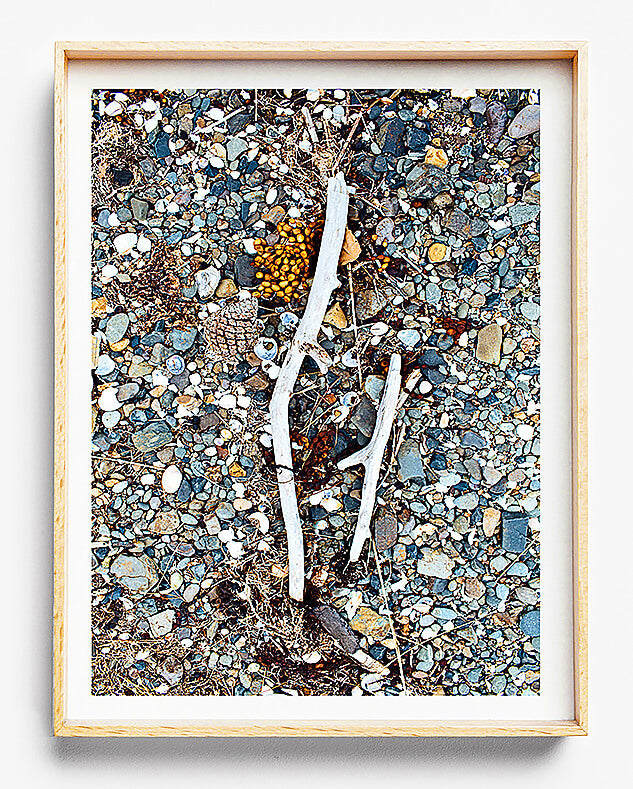 natural interior grass print coastal home photographic print new zealand photographic print of grass and nature for natural home interior