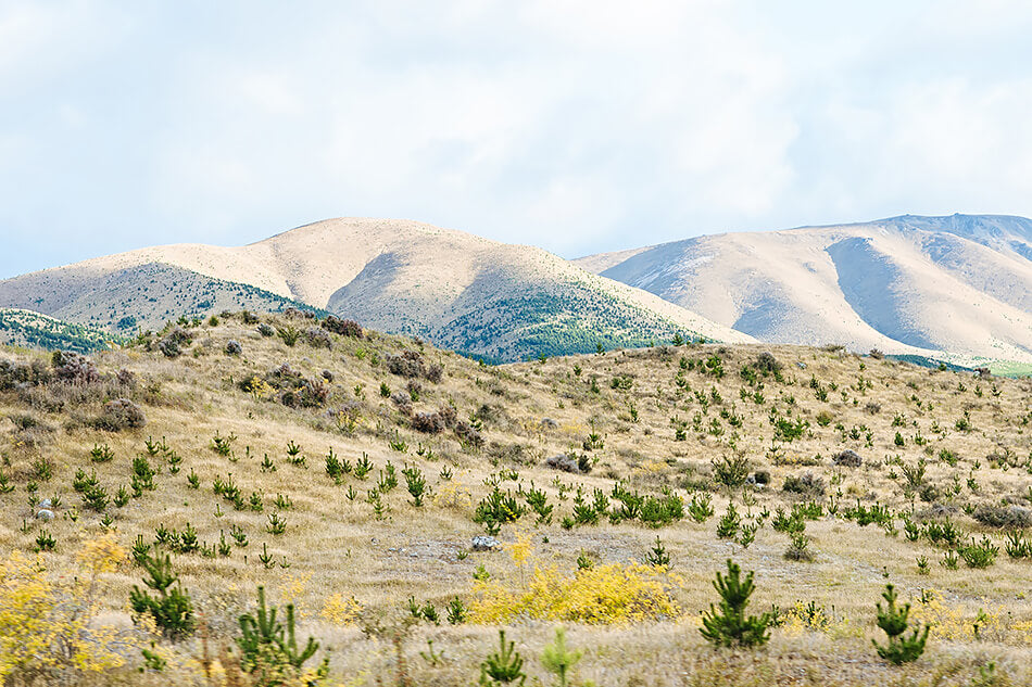 new zealand mountains photographic print of south island mt cook photo print for coastal home or natural interior print