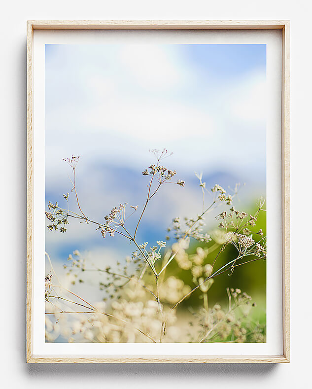 beach print coastal print natural print print for natural interior grass wall art natural tones print for wall new zealand photography