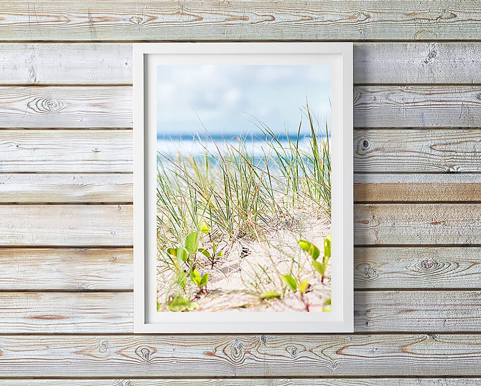 coastal interior sand dunes byron bay photography beach art beach print coastal print byron bay coastal home interior coastal print