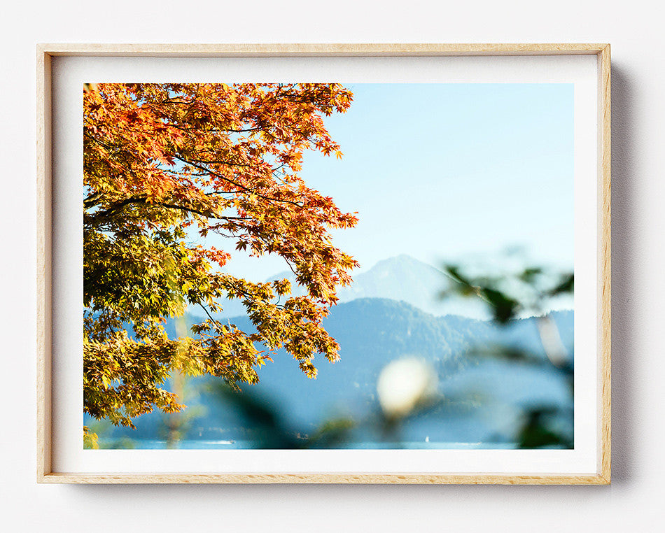 beach print Photo art for wall fine art photographic print for home interior ikea ribba frame print travel photography of summertime in switzerland photography artwork print in mt rigi switzerland europe taken by a brisbane photographer australian print photographic print art for walls brisbane photographic print shop brisbane photo wall art prints brisbane photographic prints for the home home decor wall art framed art prints brisbane