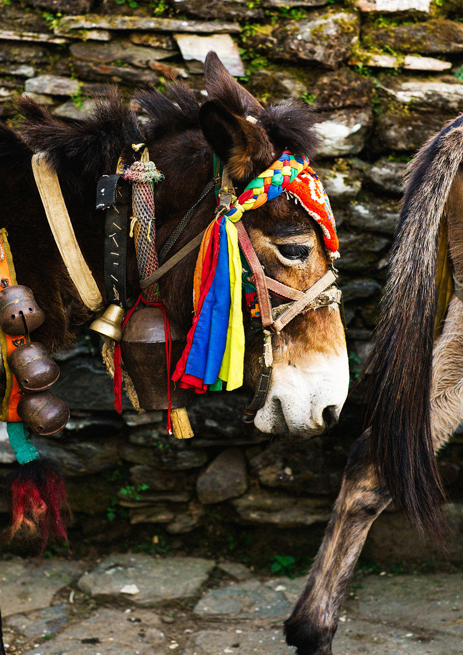 photographic artwork fine art print of hiking in nepal colourful village artwork print photography print at kathmandu pokhara nepal photography interior design limited edition print creative wedding photographer