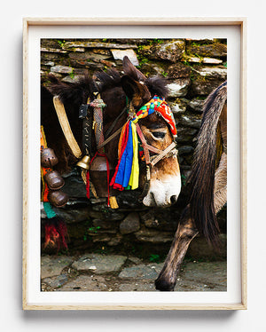 hiking in nepal colourful village limited edition fine art photography print was created in kathmandu pokhara nepal artwork to purchase online for the home interior design documentary travel photographer photographic print photographic print shop brisbane home decor wall art photographic prints for the home framed art prints brisbane