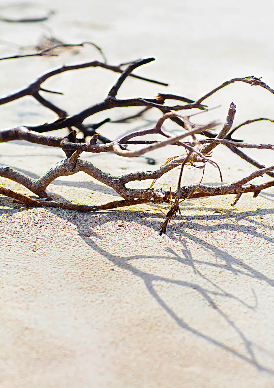 coastal home beach interior framed print byron bay art beach photographic print coastal art work beach print beach art print coastal interior